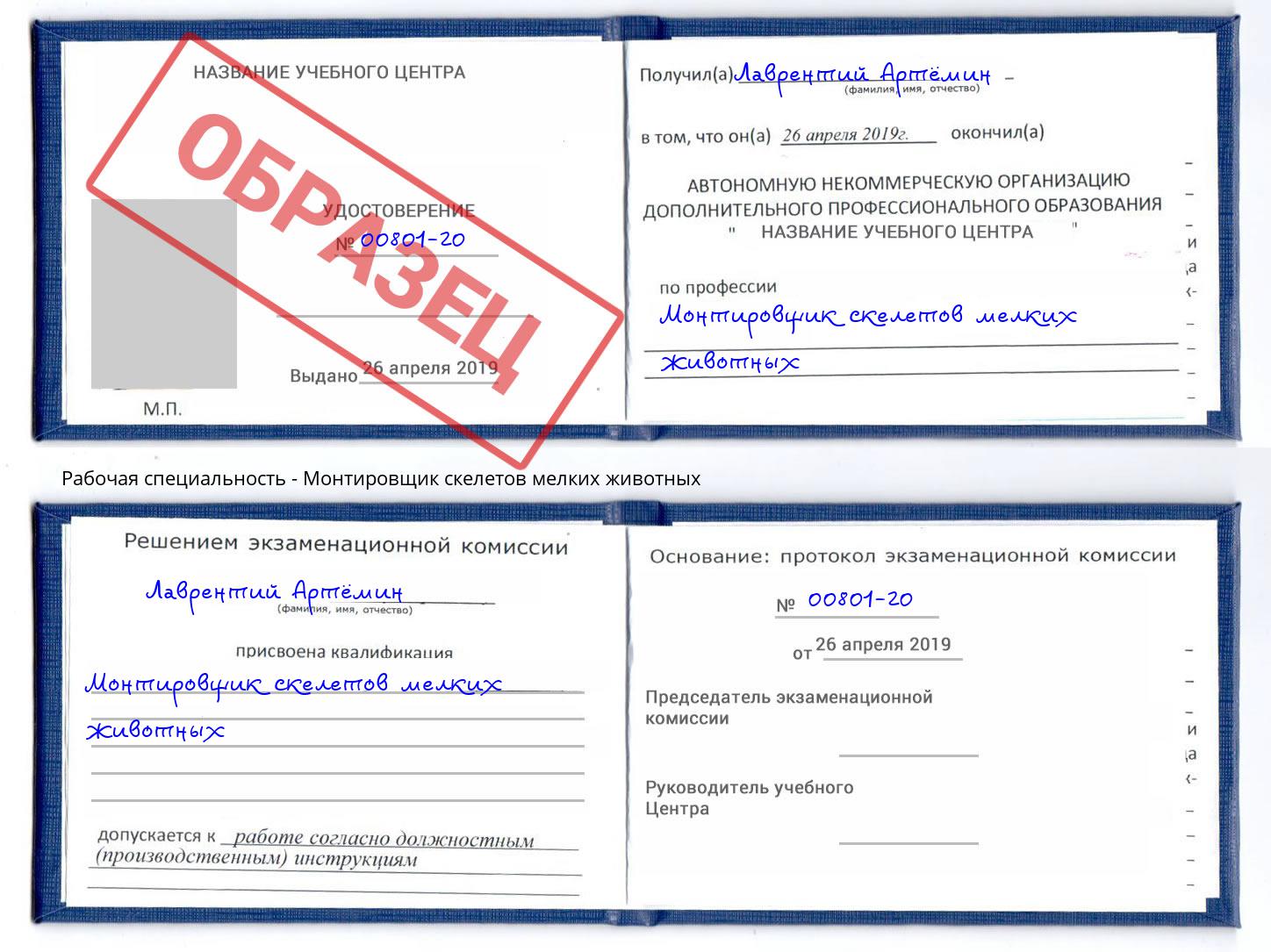 Монтировщик скелетов мелких животных Ухта